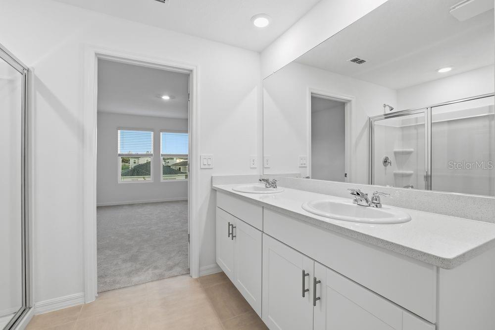 12462 Whisk ~ Ready Now