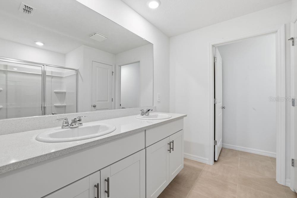 12462 Whisk ~ Ready Now