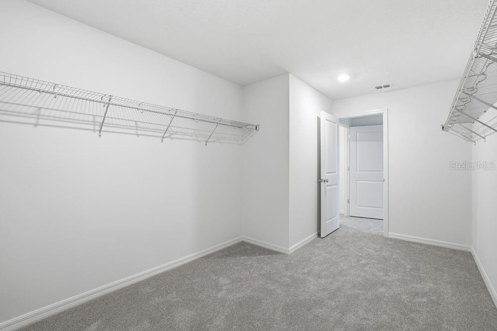 12462 Whisk ~ Ready Now