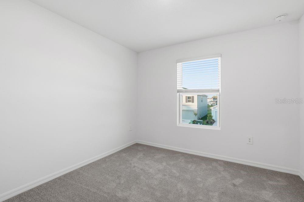 12462 Whisk ~ Ready Now