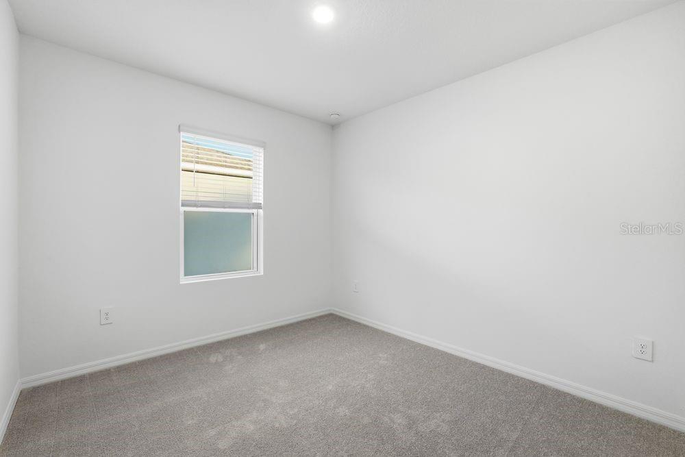 12462 Whisk ~ Ready Now