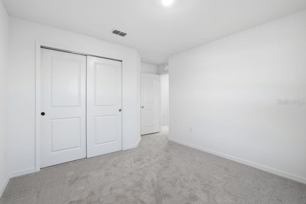 12462 Whisk ~ Ready Now