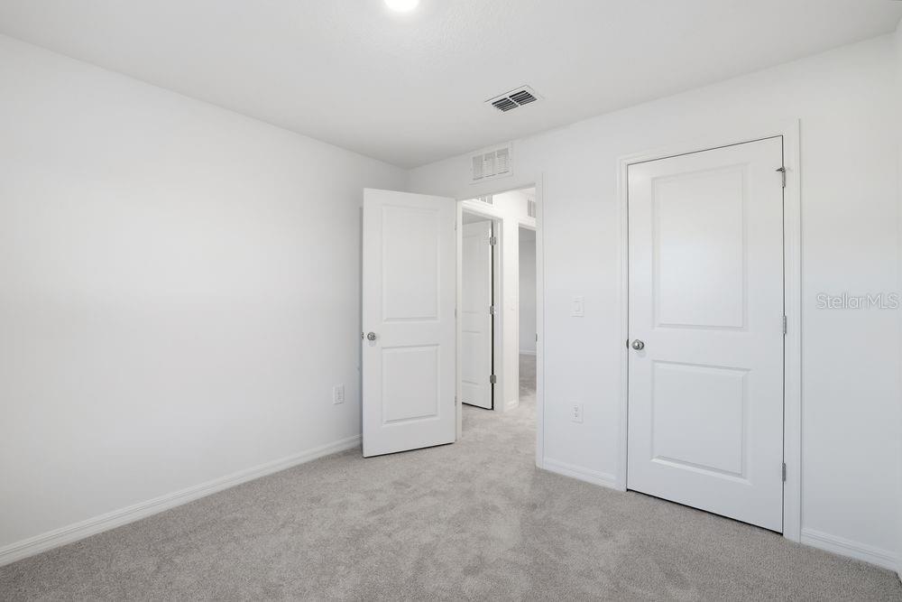 12462 Whisk ~ Ready Now