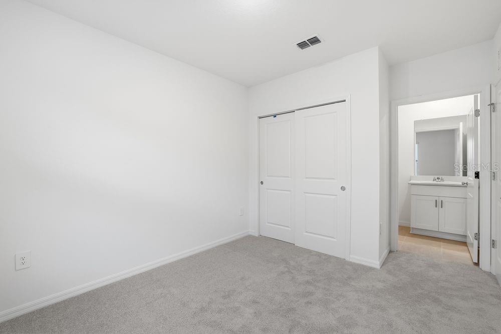 12462 Whisk ~ Ready Now