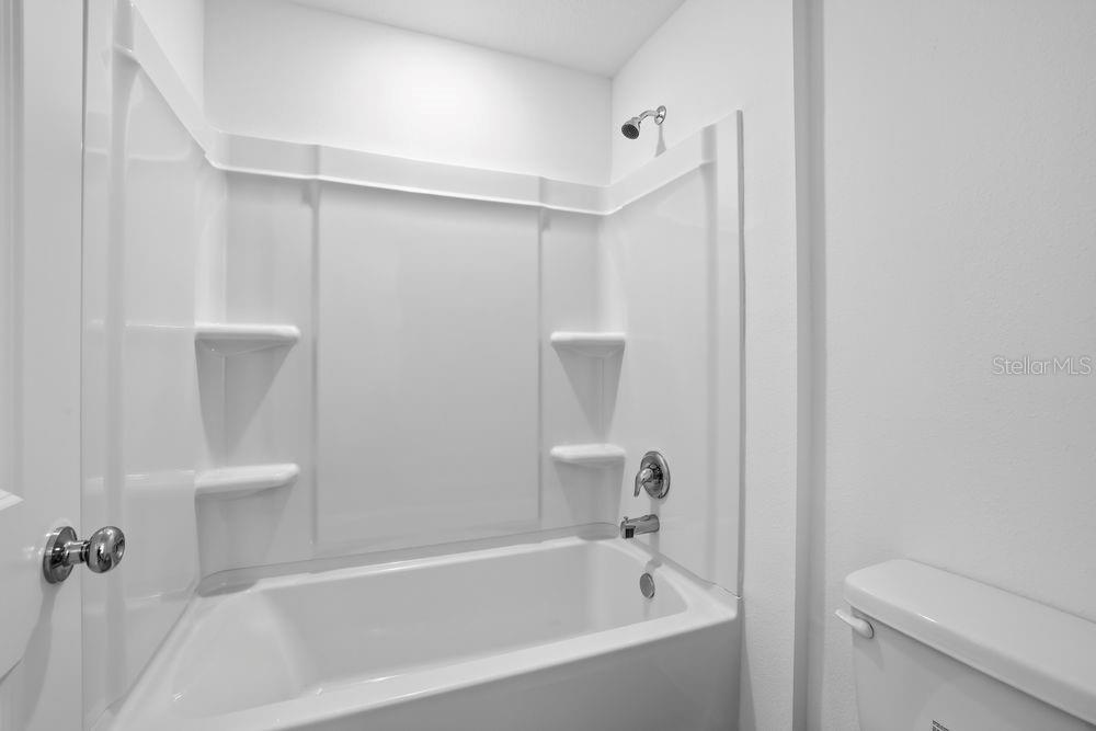 12462 Whisk ~ Ready Now