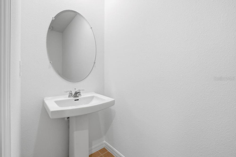 12462 Whisk ~ Ready Now