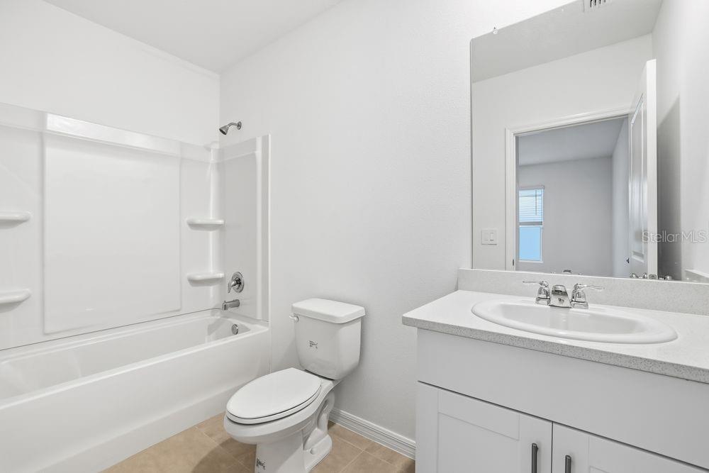 12462 Whisk ~ Ready Now