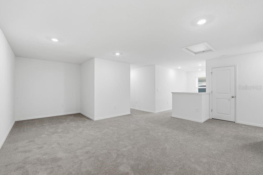 12462 Whisk ~ Ready Now