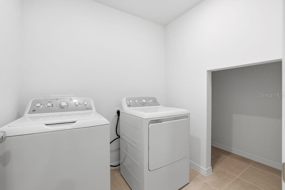 12462 Whisk ~ Ready Now