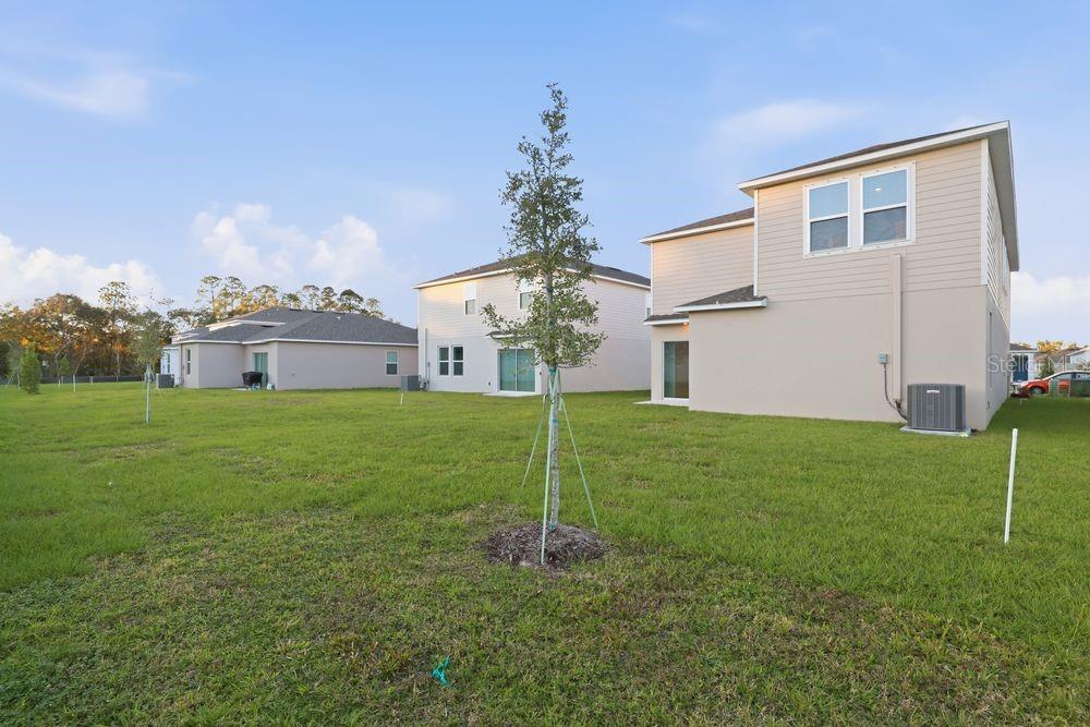 12462 Whisk ~ Ready Now