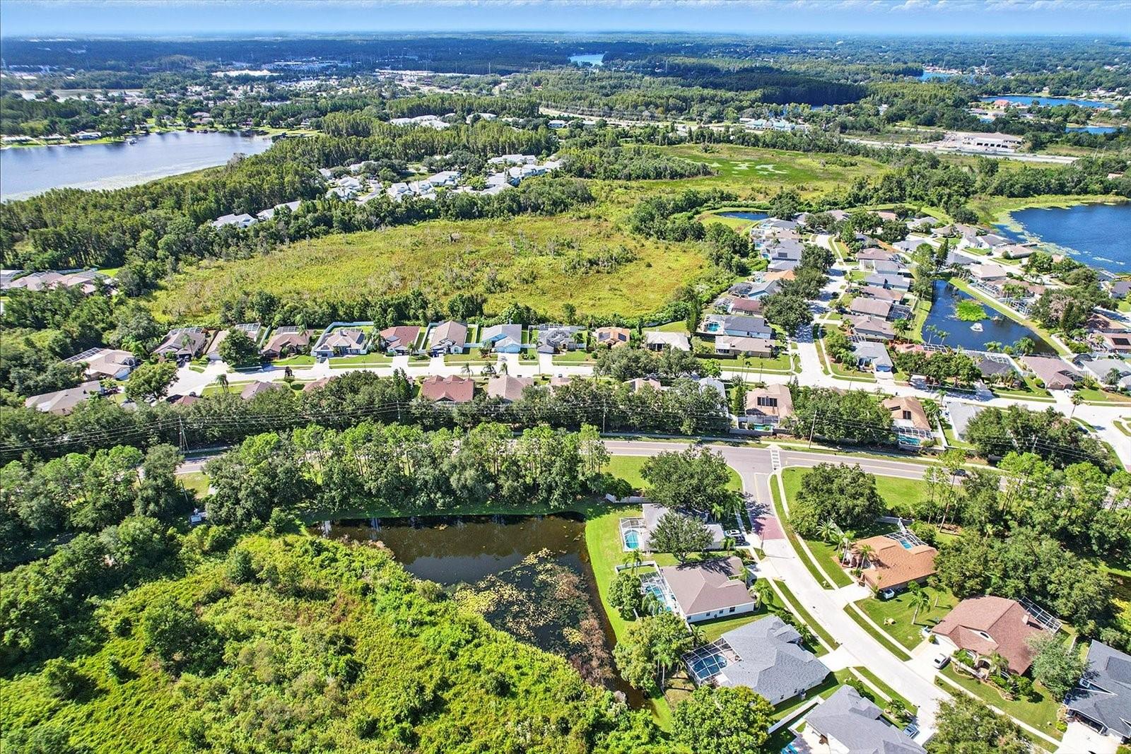 W7878662