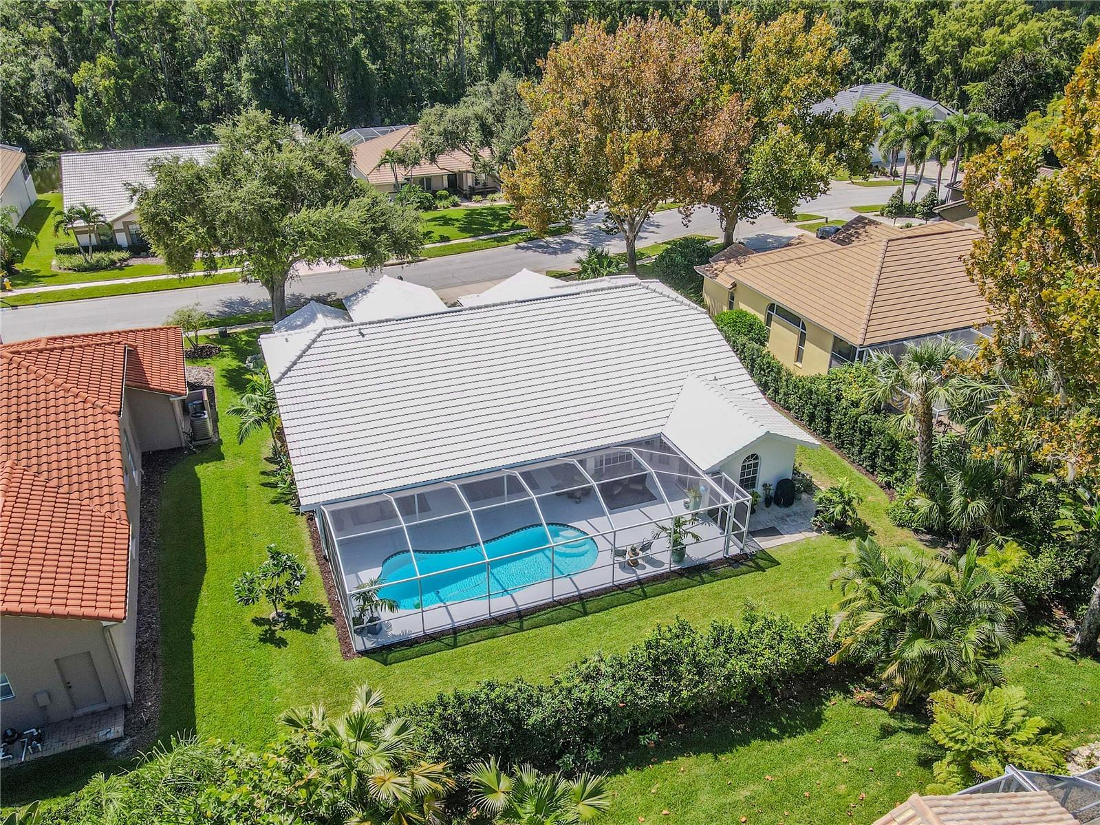 Backyard view