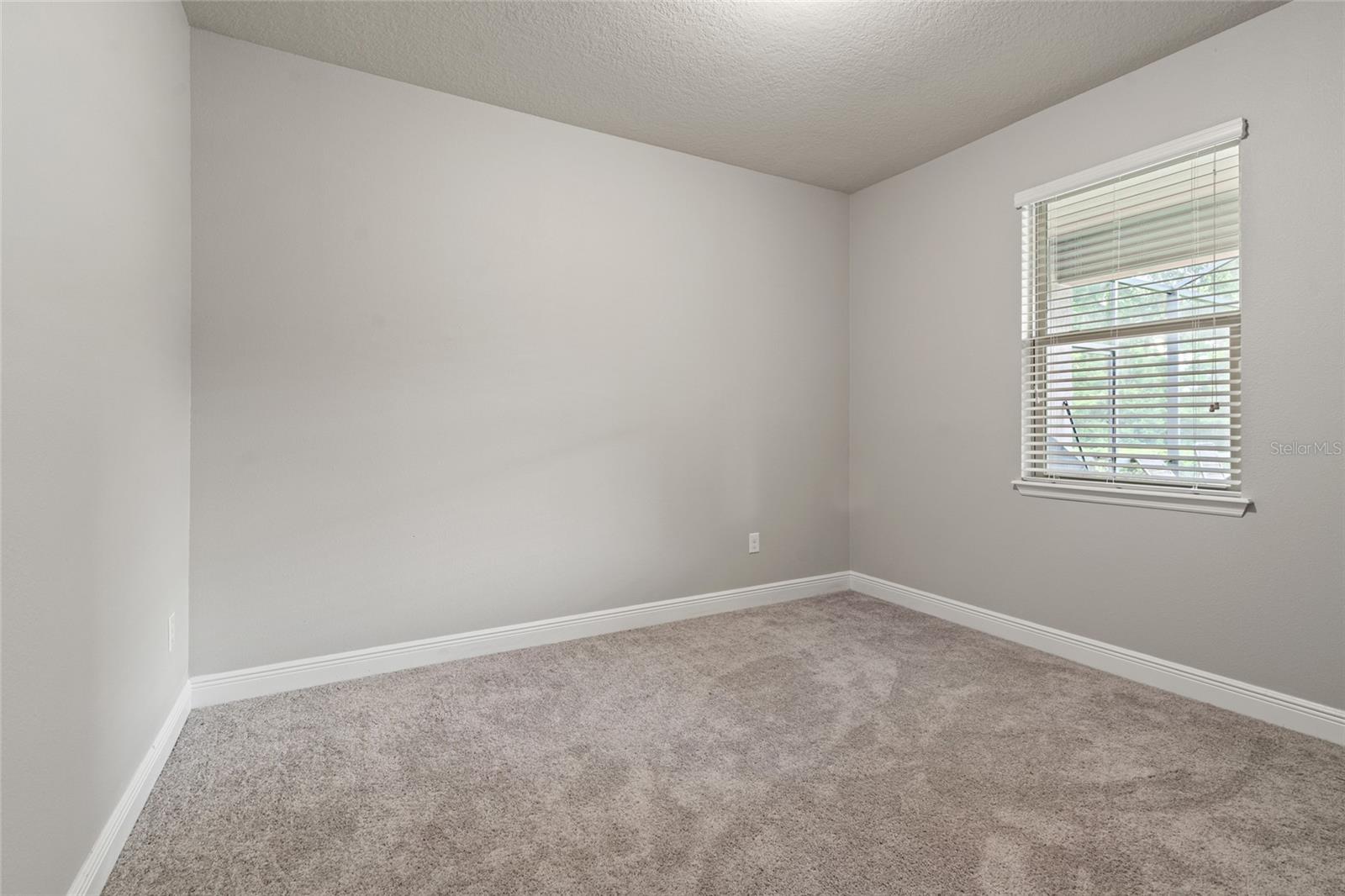 Second Bedroom off Kitchen - Can be used for a large pantry or storage room
