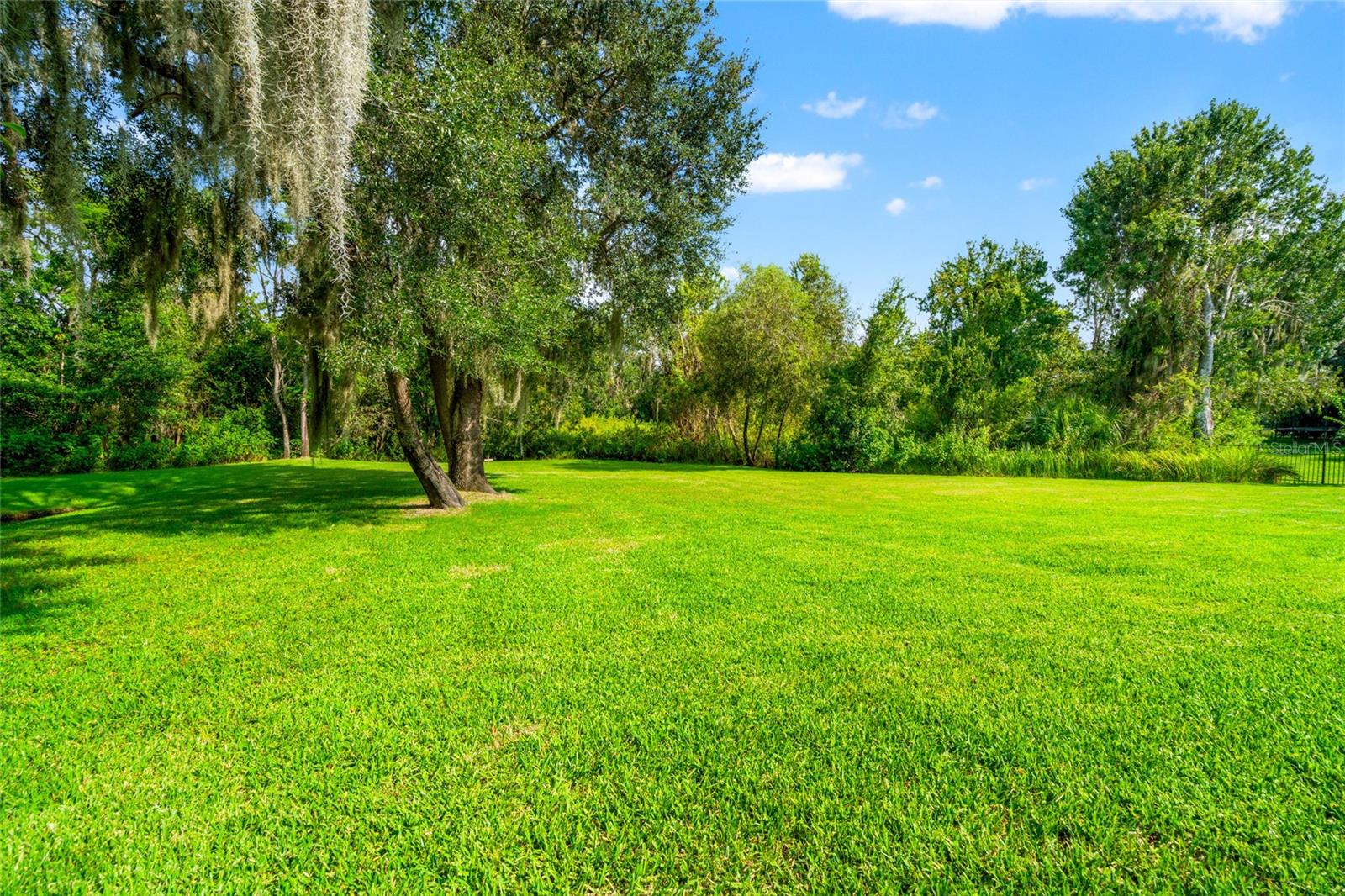 Spacious Rear Yard