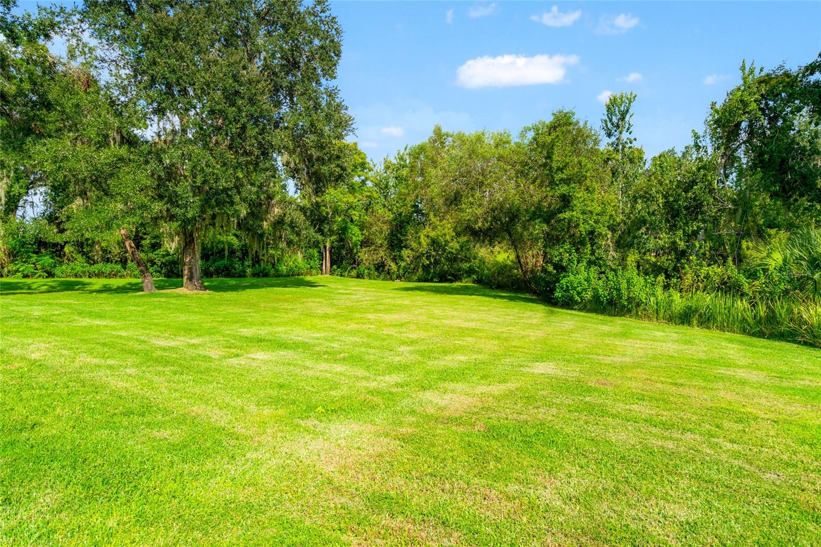 Full Yard View