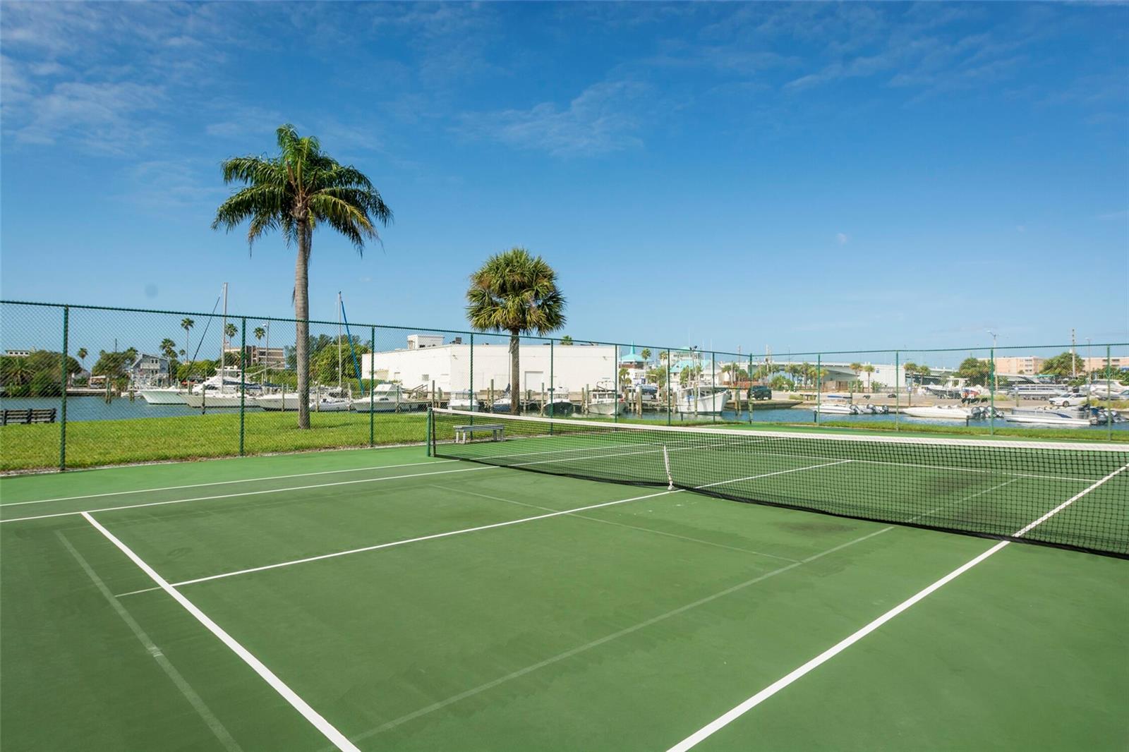 TENNIS AND PICKLE BALL