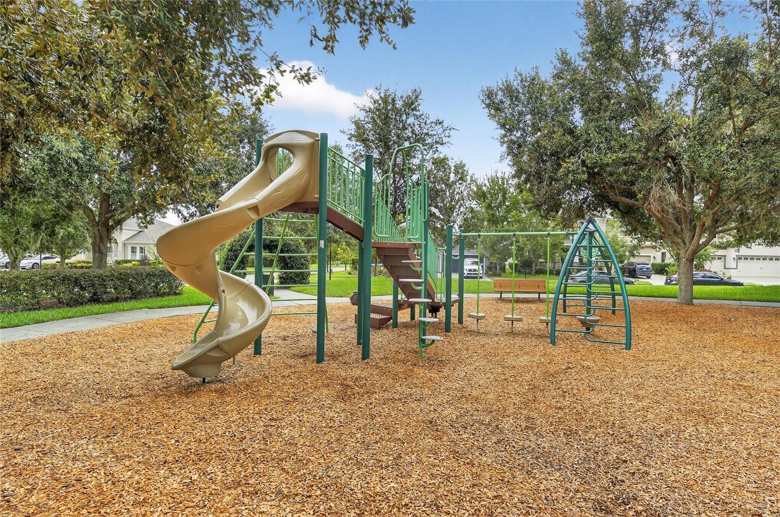 Community Park
