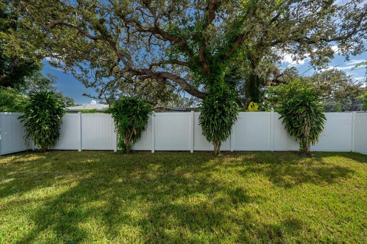 Back yard large enough for a pool