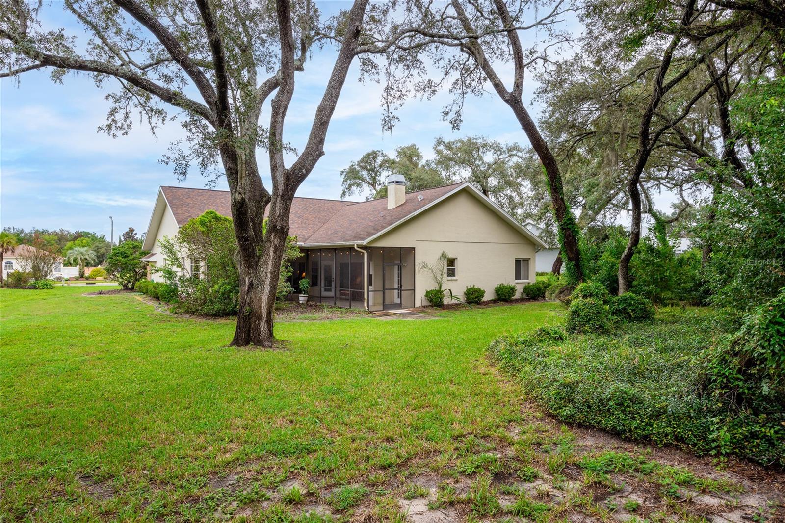Back of Home / Yard