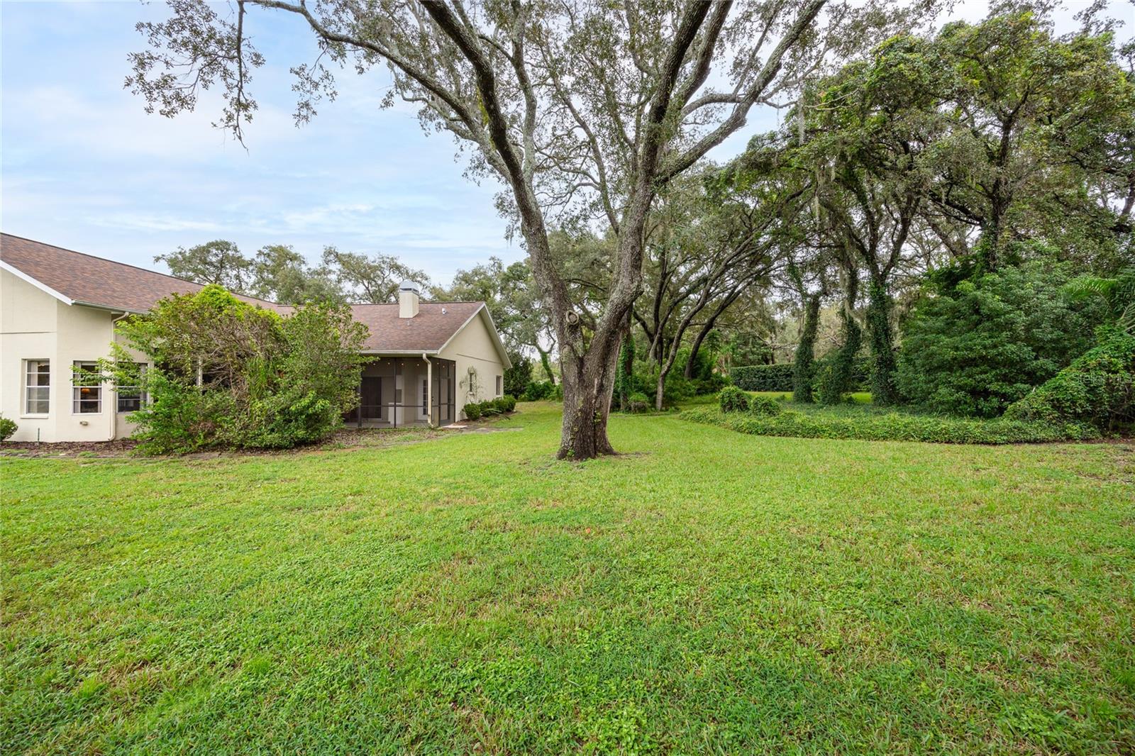 Back of Home / Yard