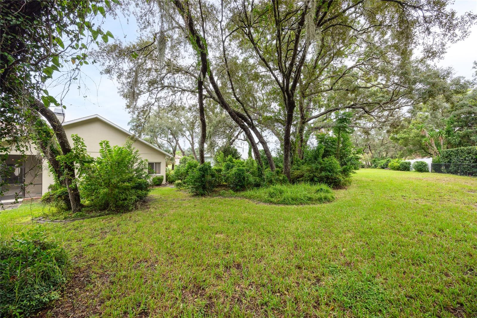 Back of Home / Yard