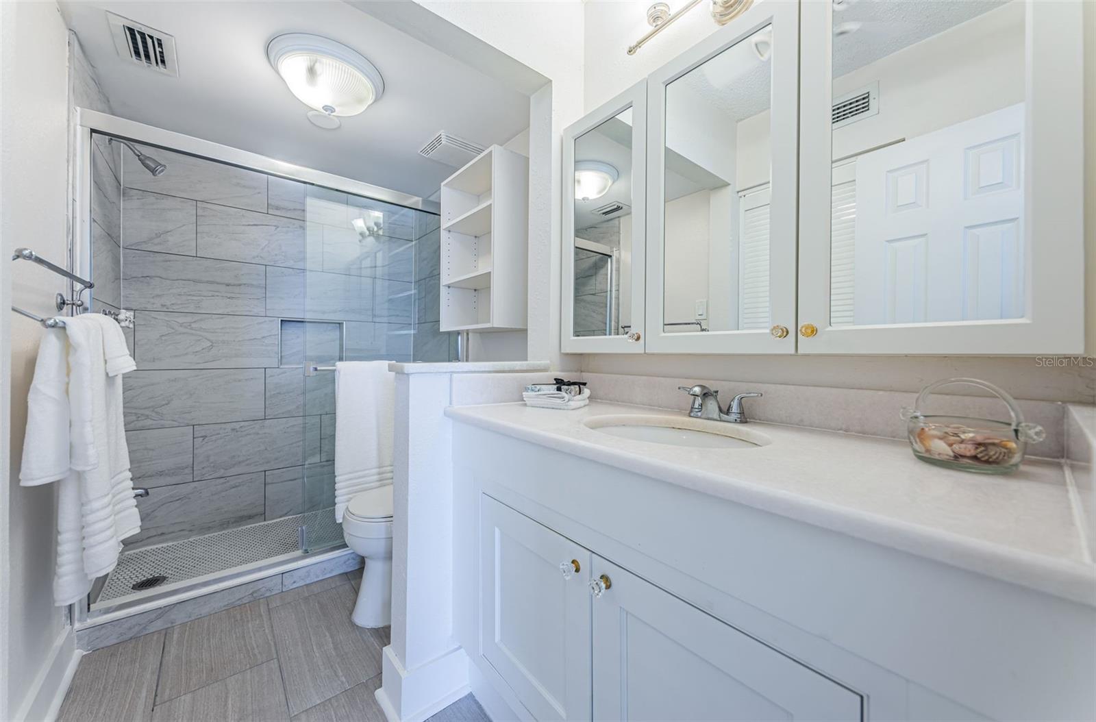 Master Bath with Updated New Shower