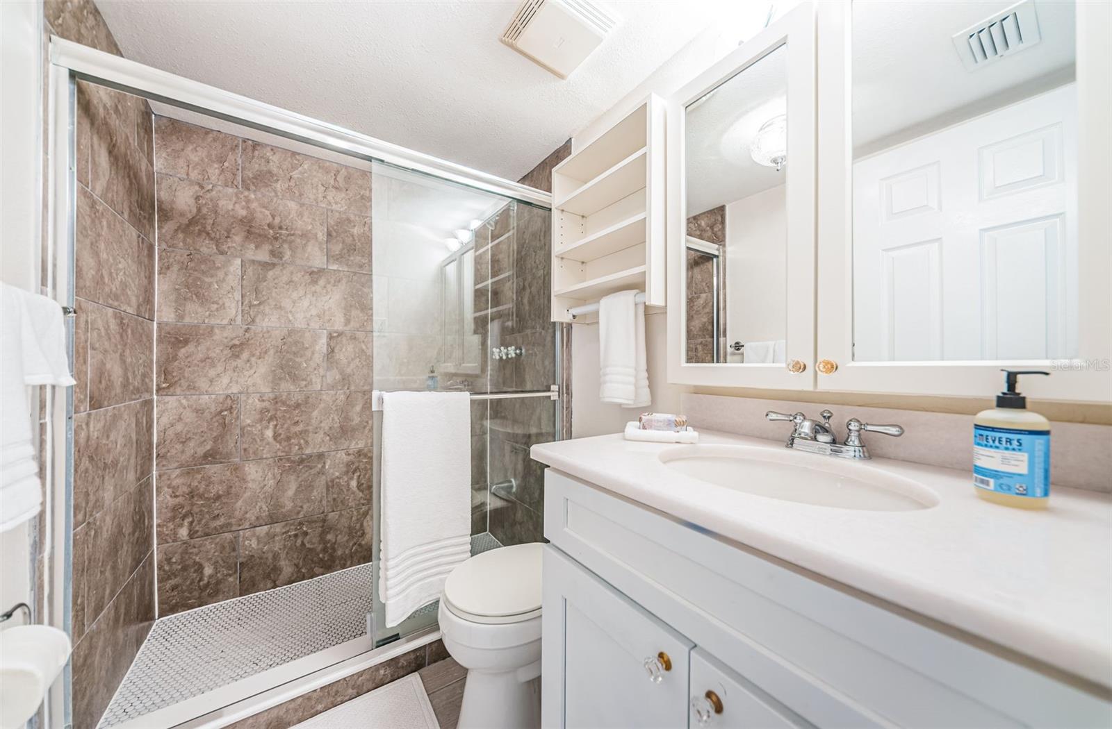 Guest Bath with Newly Updated Shower