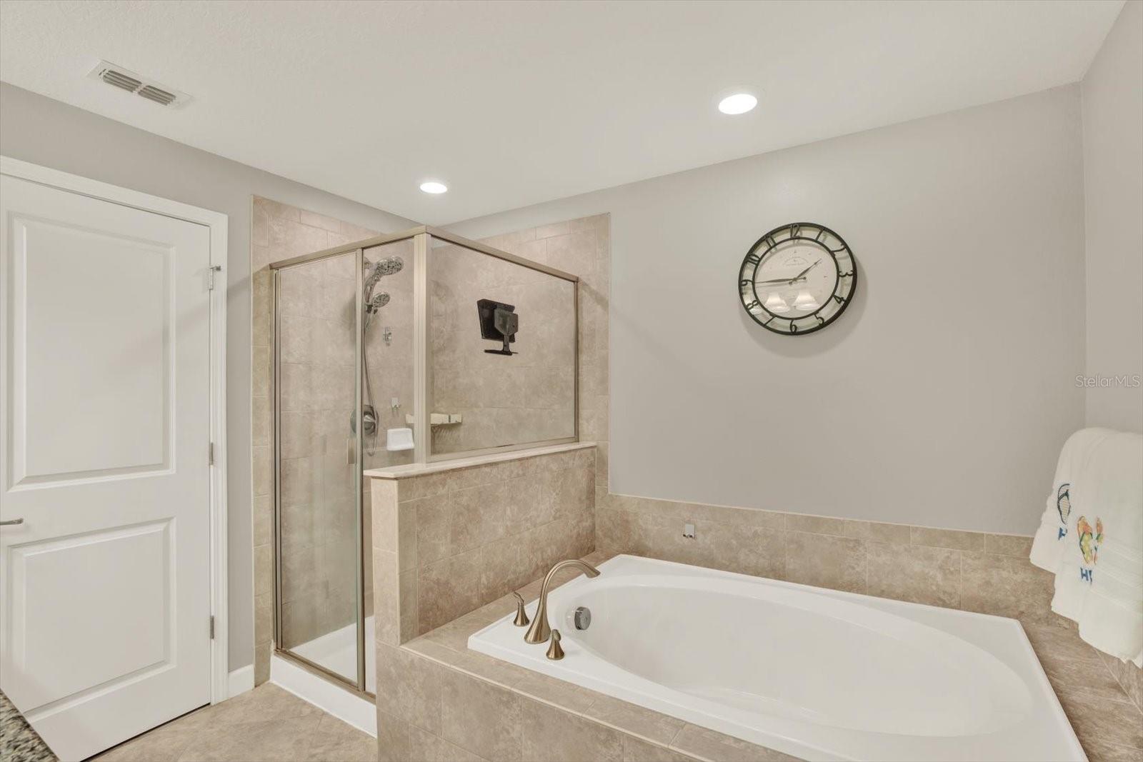 Garden Tub & Shower