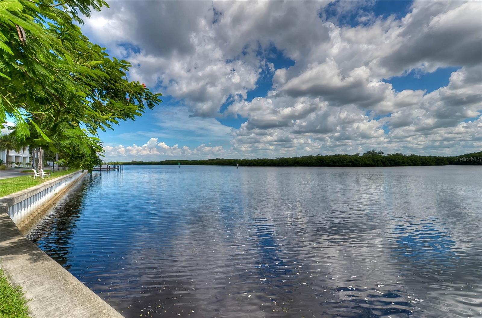 Enjoy fishing and watching dolphins!