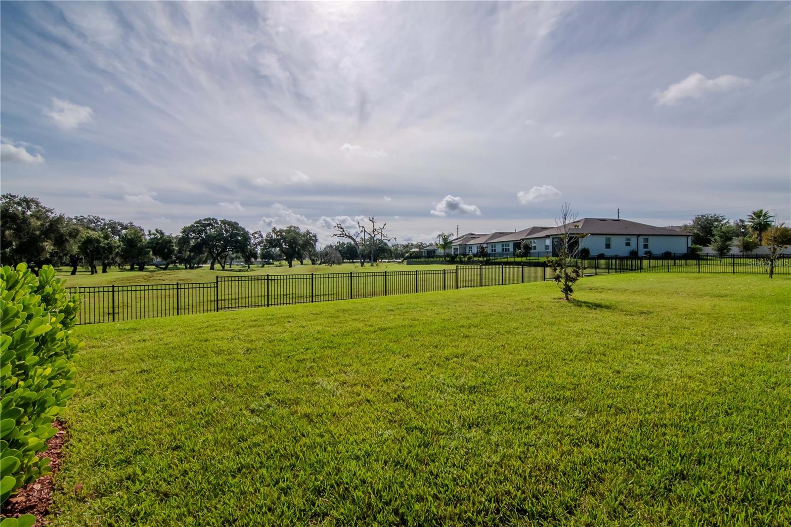 View of Backyard and Golf Course