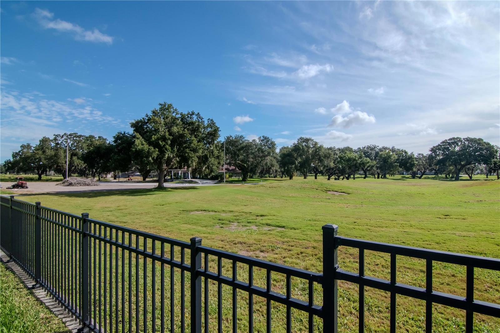 Backyard View & Fence