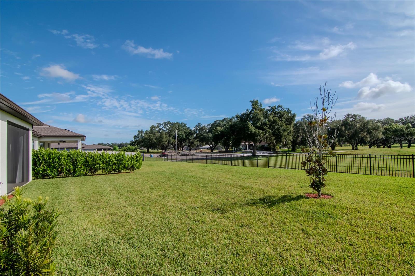 Backyard