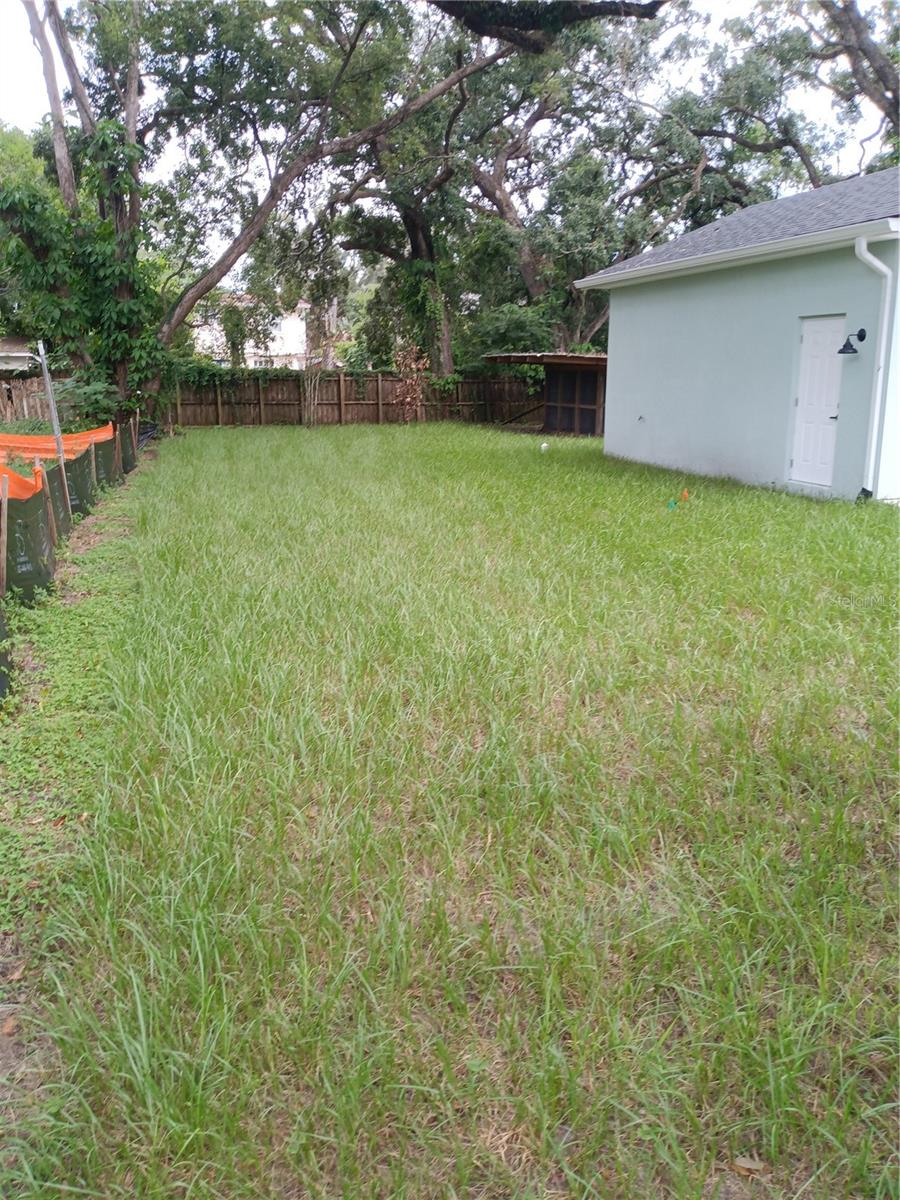 Backyard