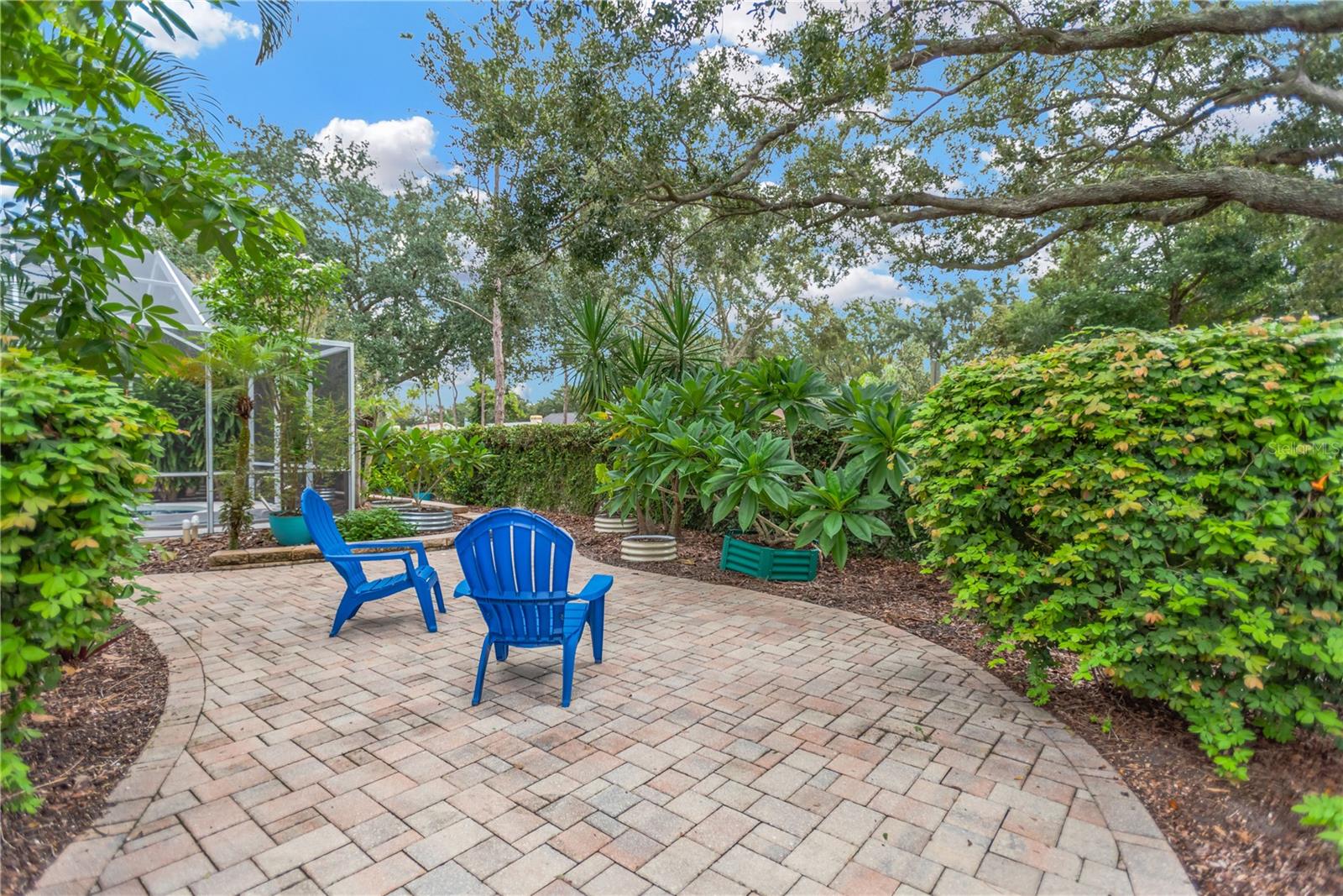 Backyard privacy
