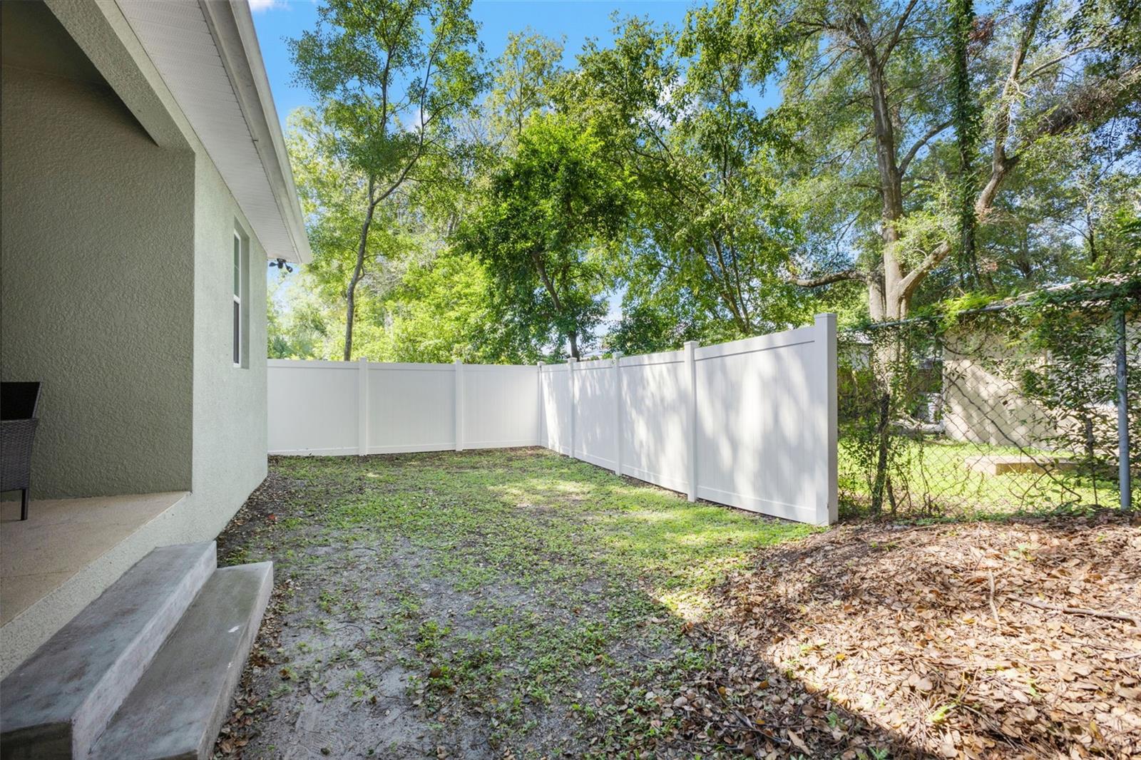 Backyard