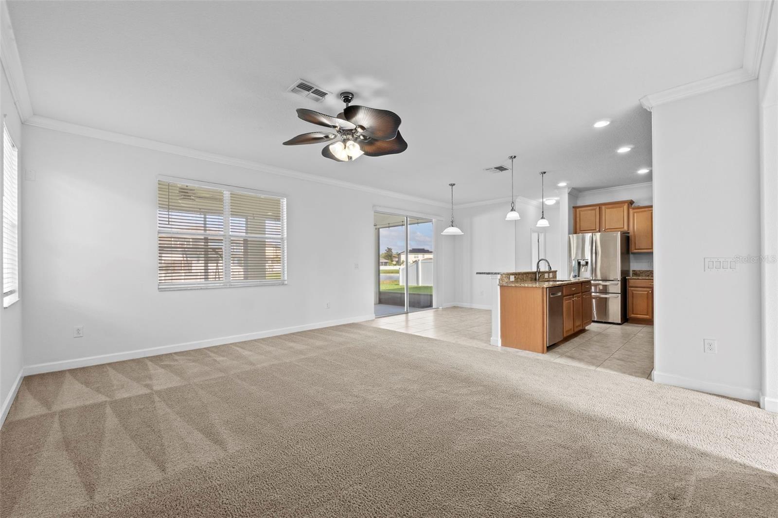 Family Room, Kitchen and Breakfast nook