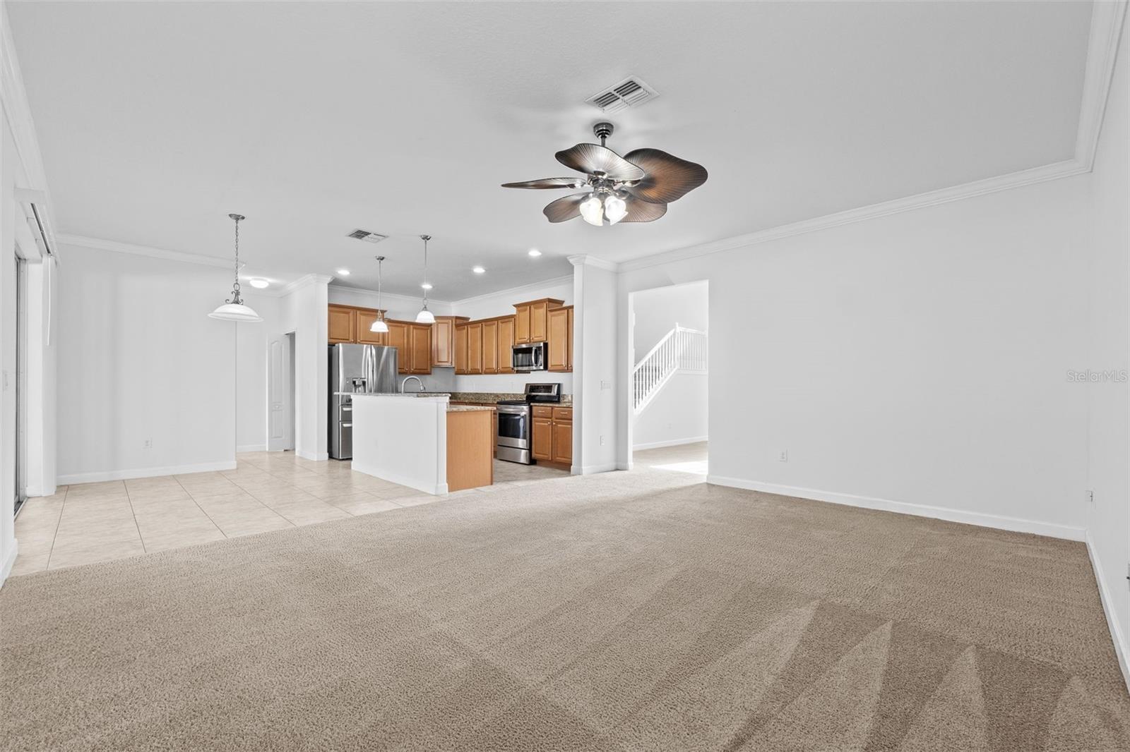 Family Room, Kitchen and Breakfast nook