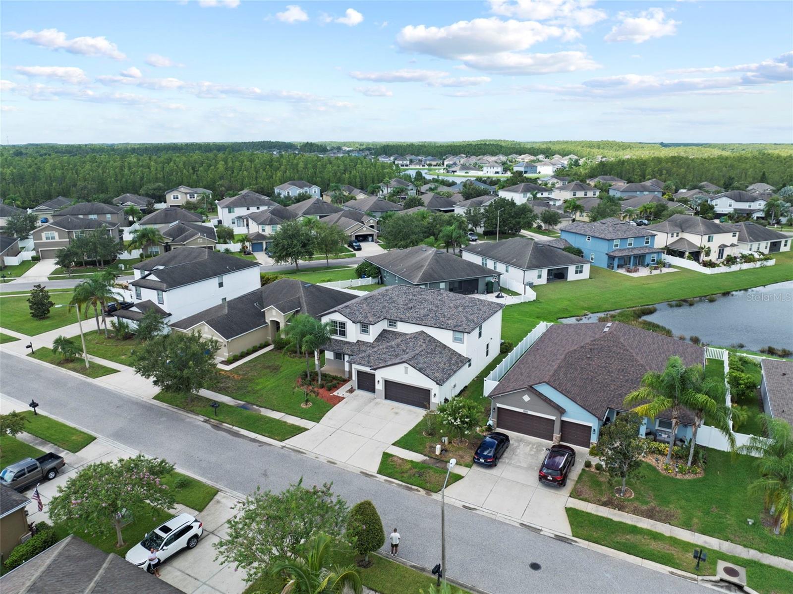 Drone View
