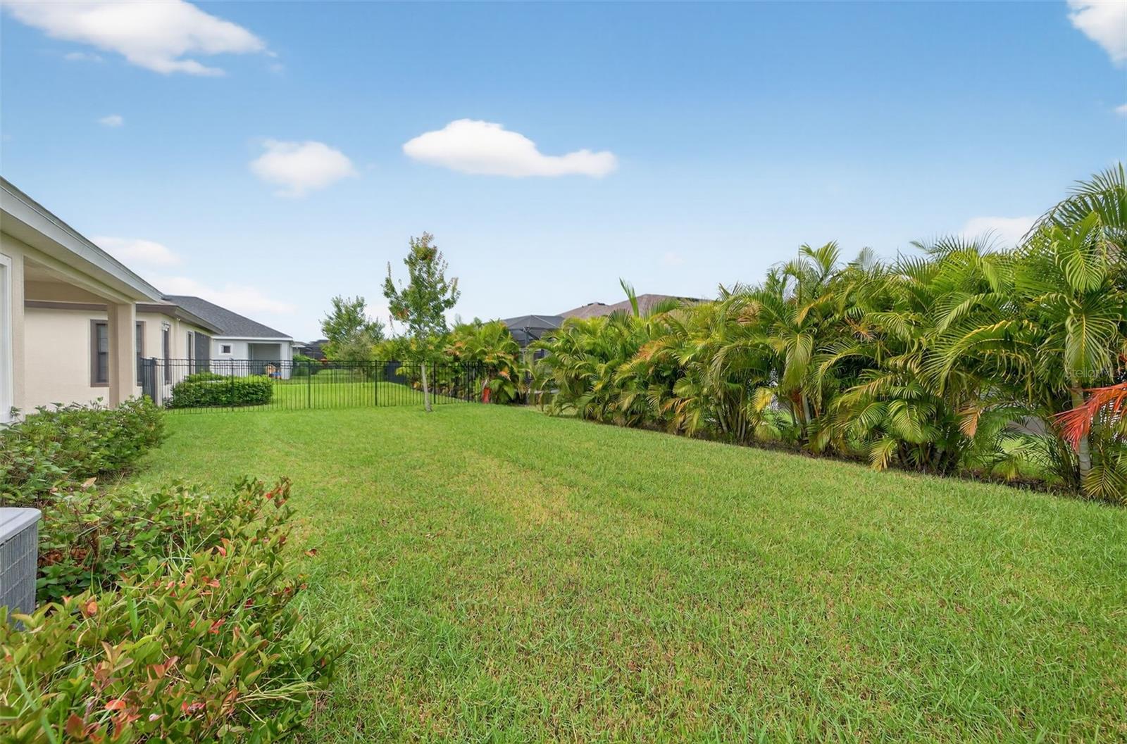 Spacious backyard with room for a pool