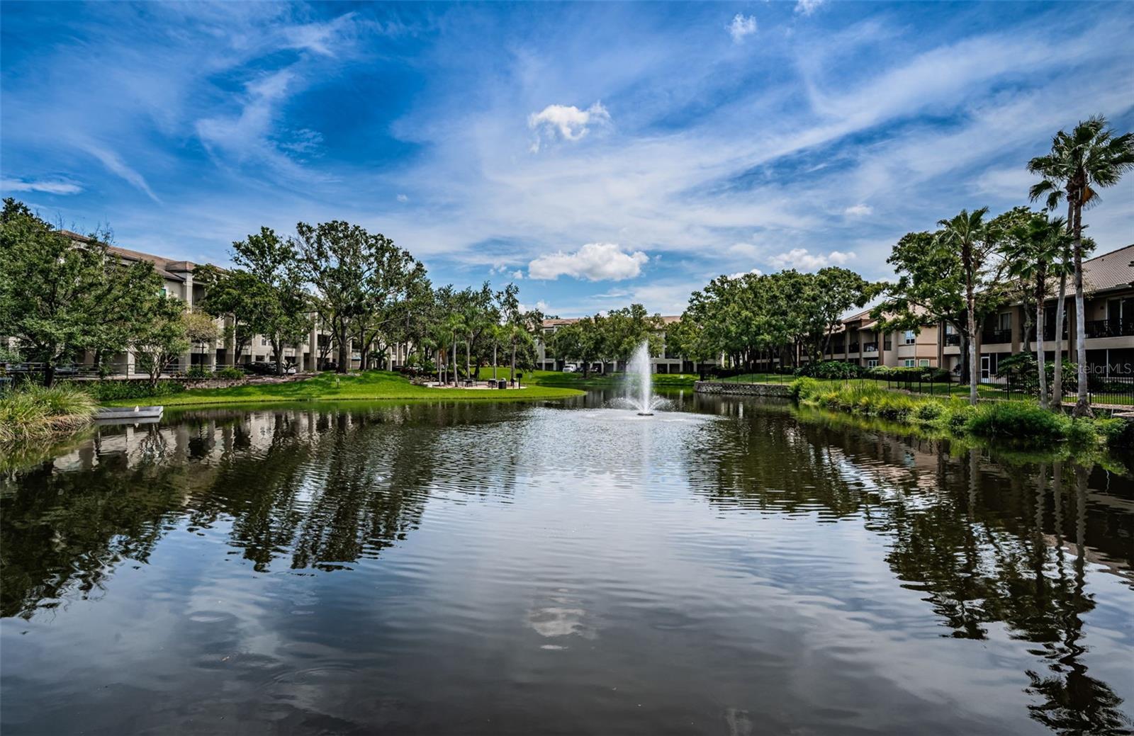 View of Tampa Bau