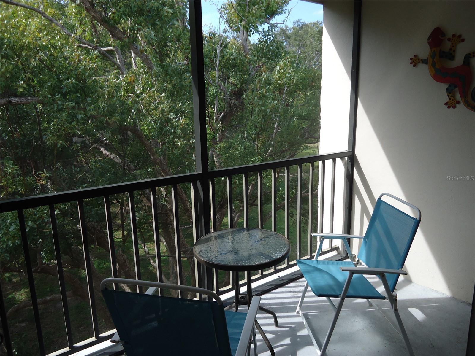 Screen porch