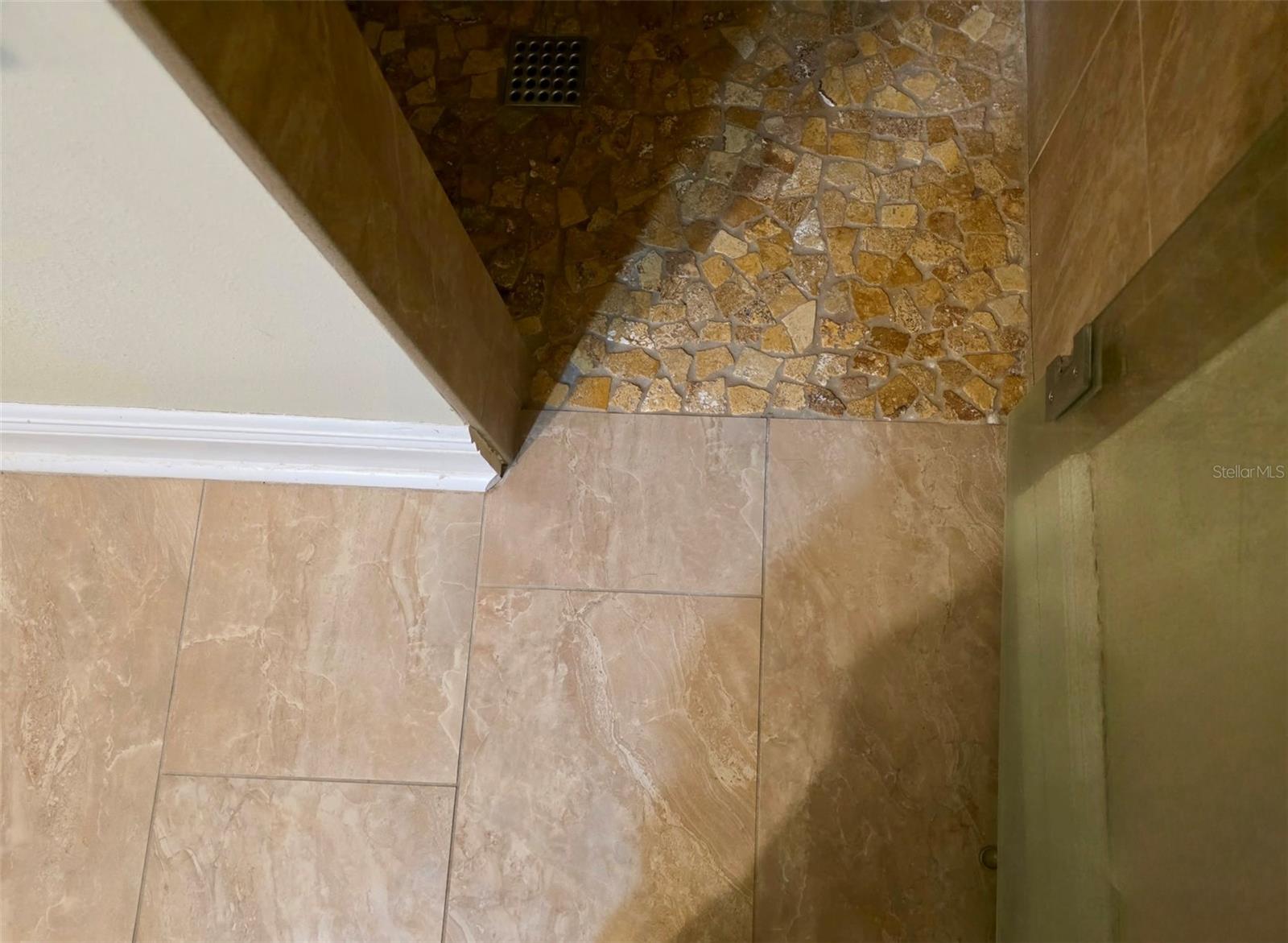 Level Entry Shower in Primary Bedroom