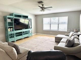 Large Living Room