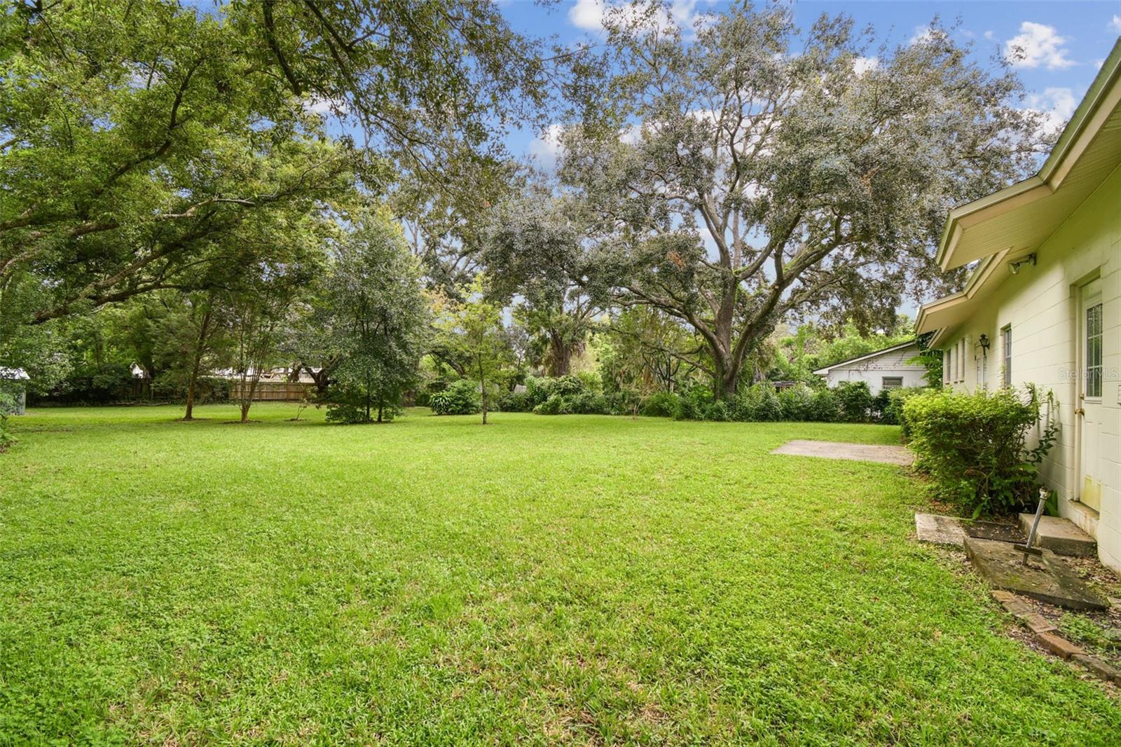 Backyard