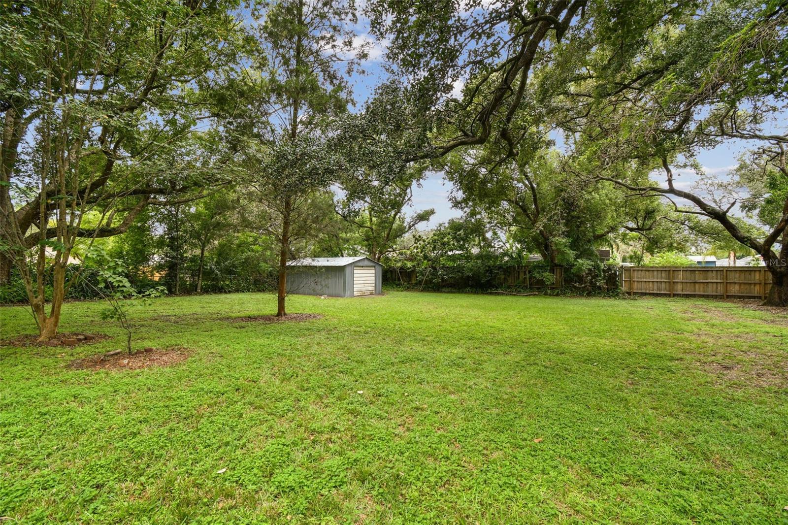 Backyard
