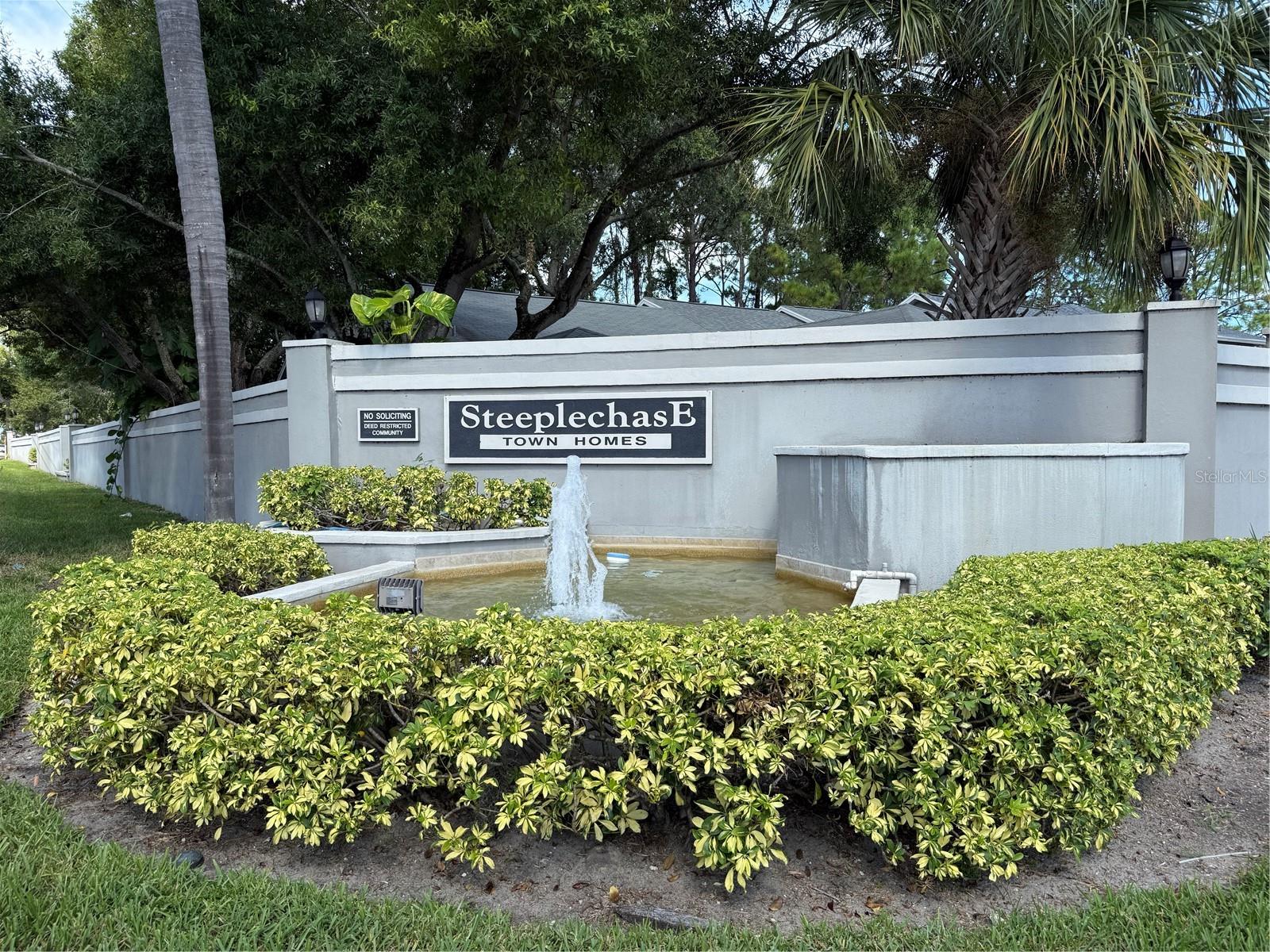 Steeplechase community entrance
