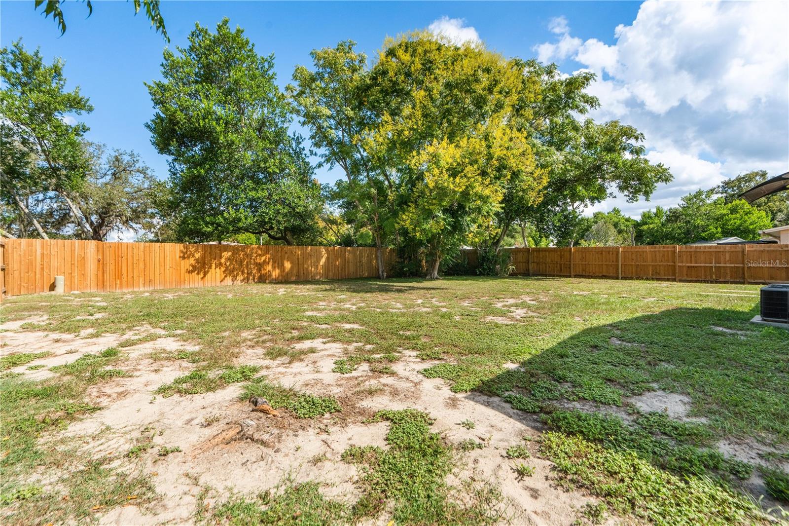 Back Yard