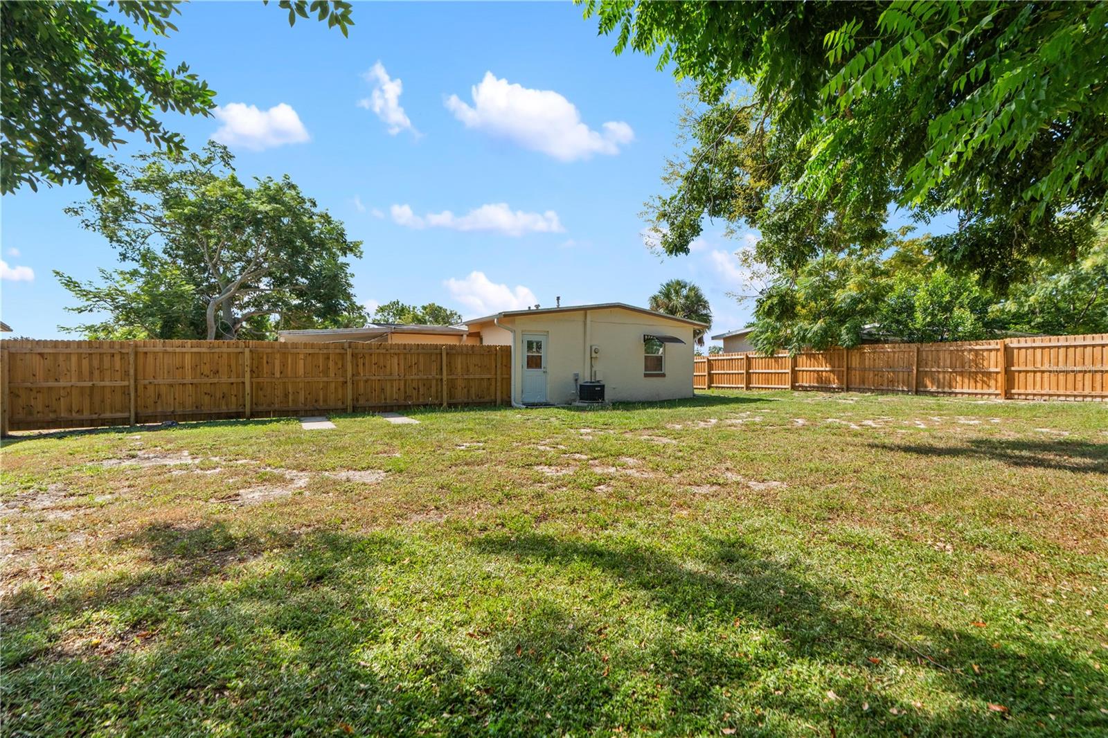 Back Yard