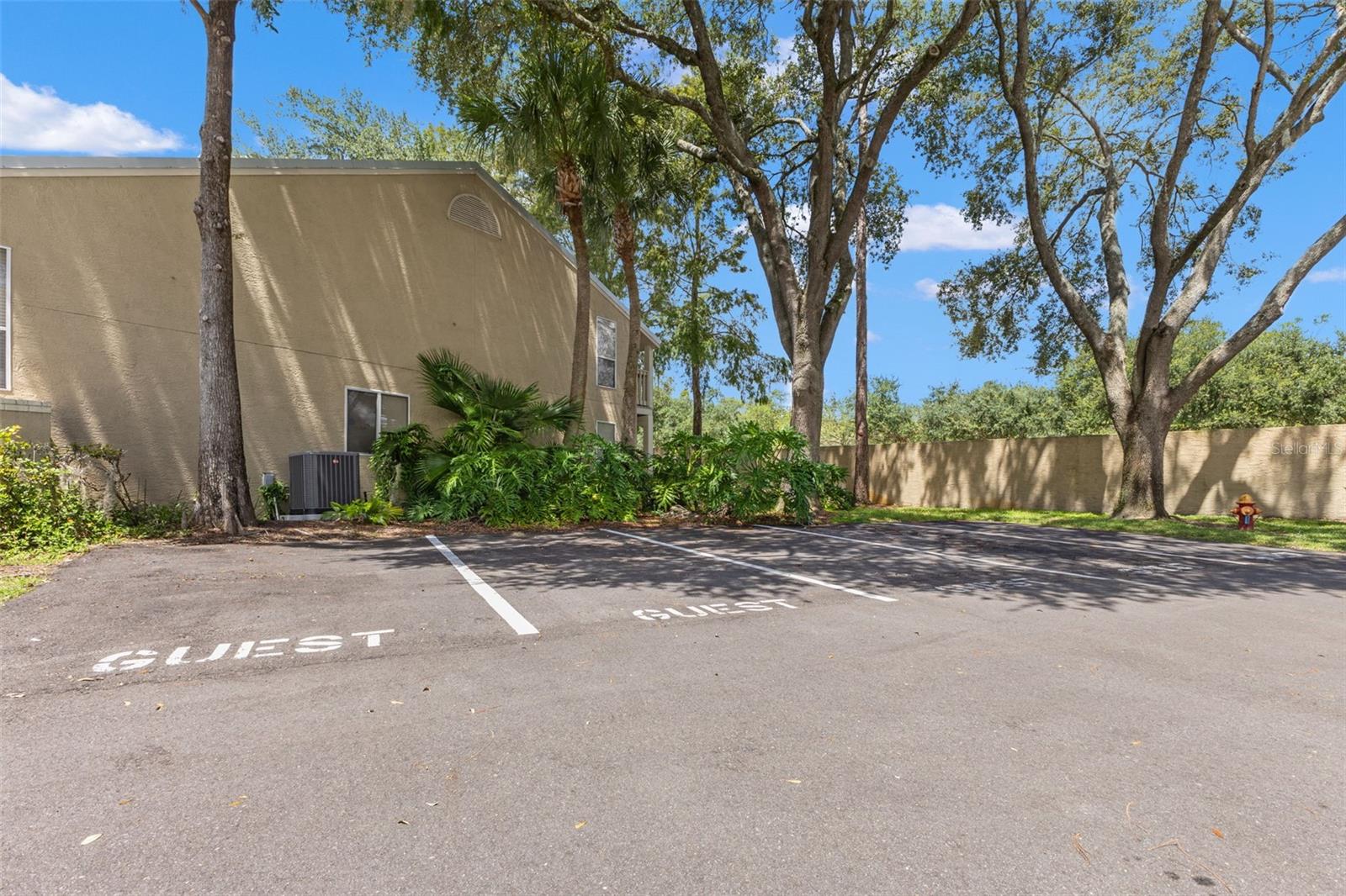guest parking