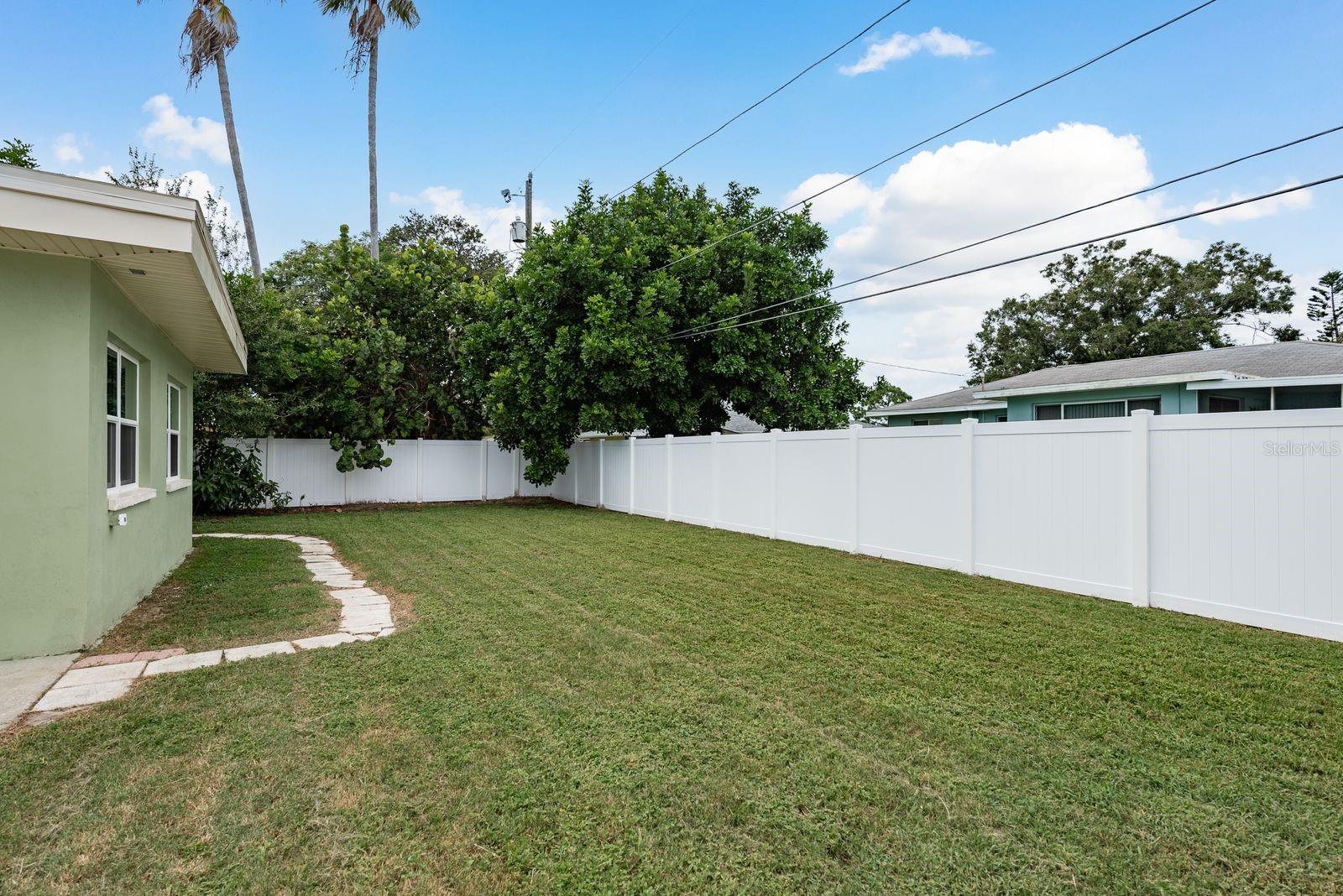 Backyard and new fencing